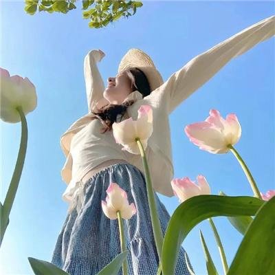曲中情未了海报