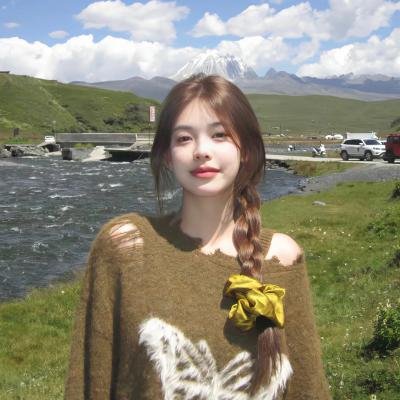 面纱之下海报