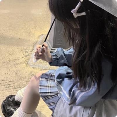 我是海鸥海报